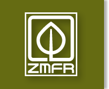 ZMFR